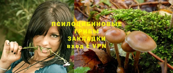 mix Арсеньев