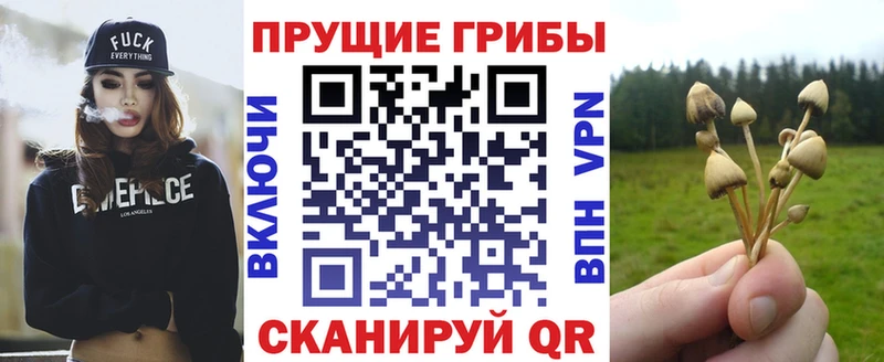 Галлюциногенные грибы прущие грибы  Валдай 